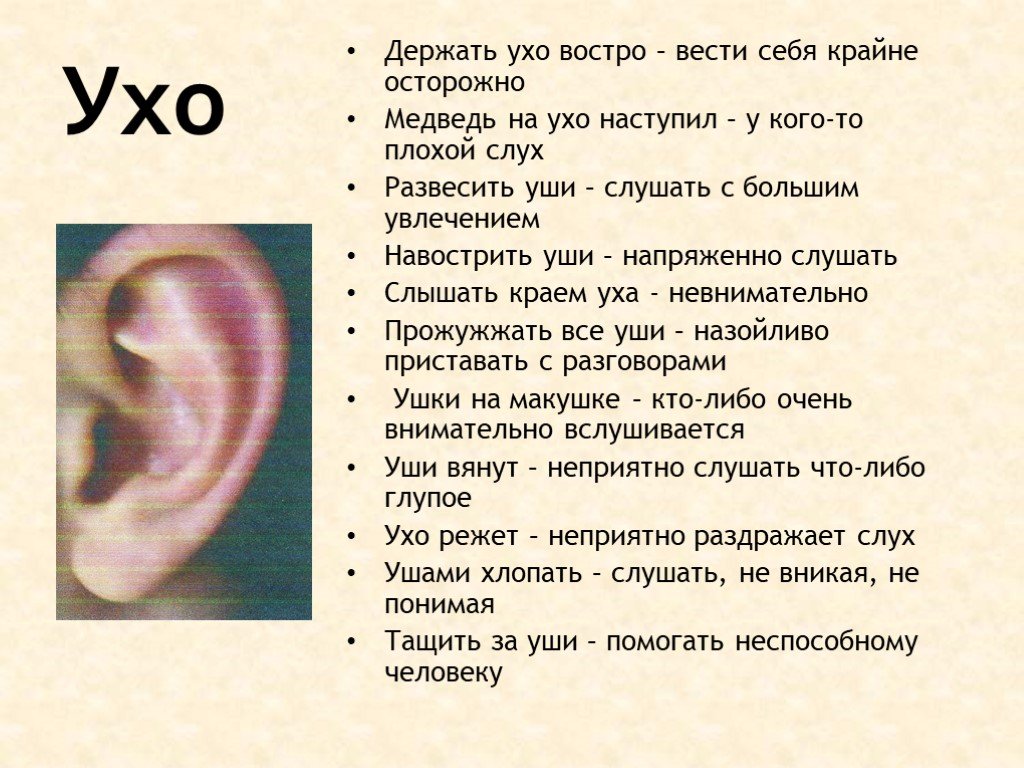 Написание наречий - слитное, раздельное, через дефис (таблица)