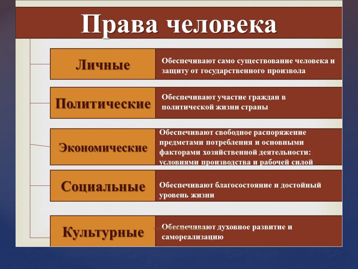 Сферы жизни общества (подсистемы общества).