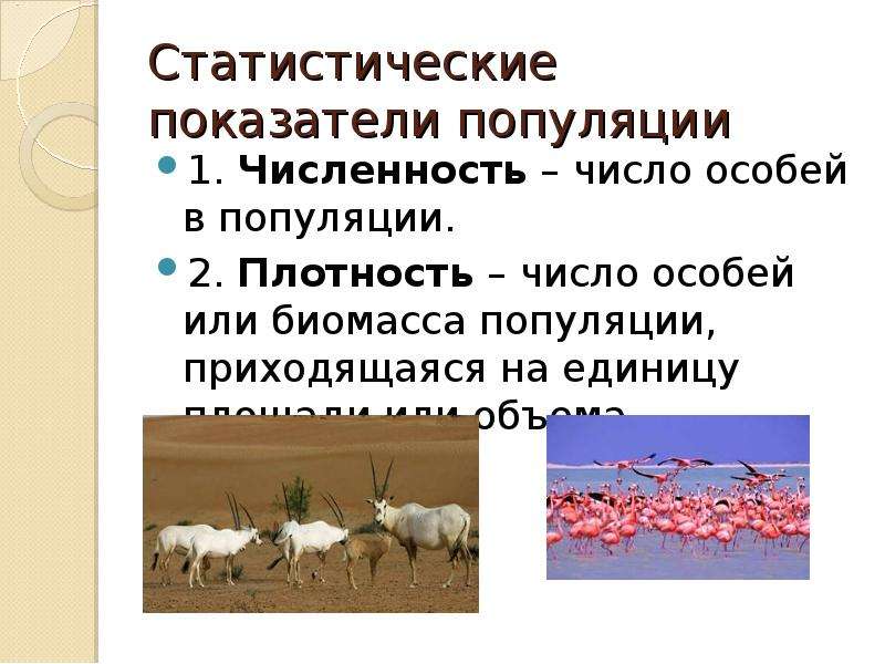 Биология. 10 класс