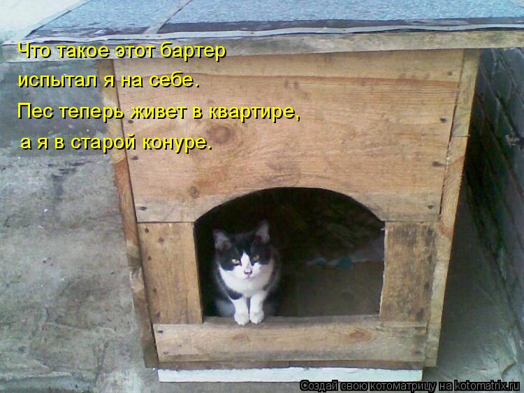 Как пишется слово будка или бутка - граматика и образование на pisanino.ru
