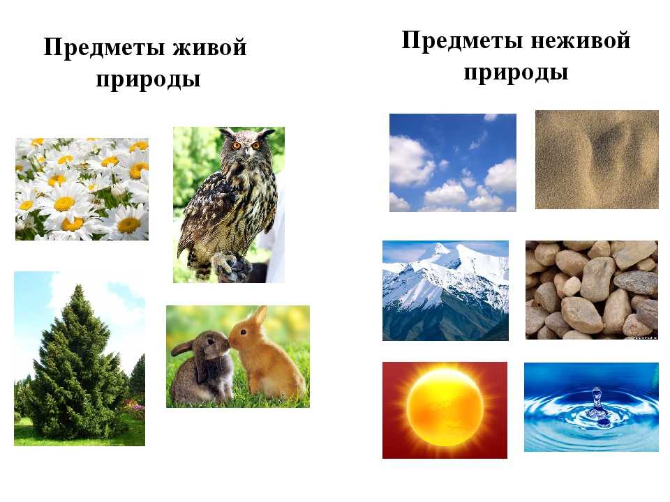 Неживая природа - объекты природы относящиеся к ней - история и культура