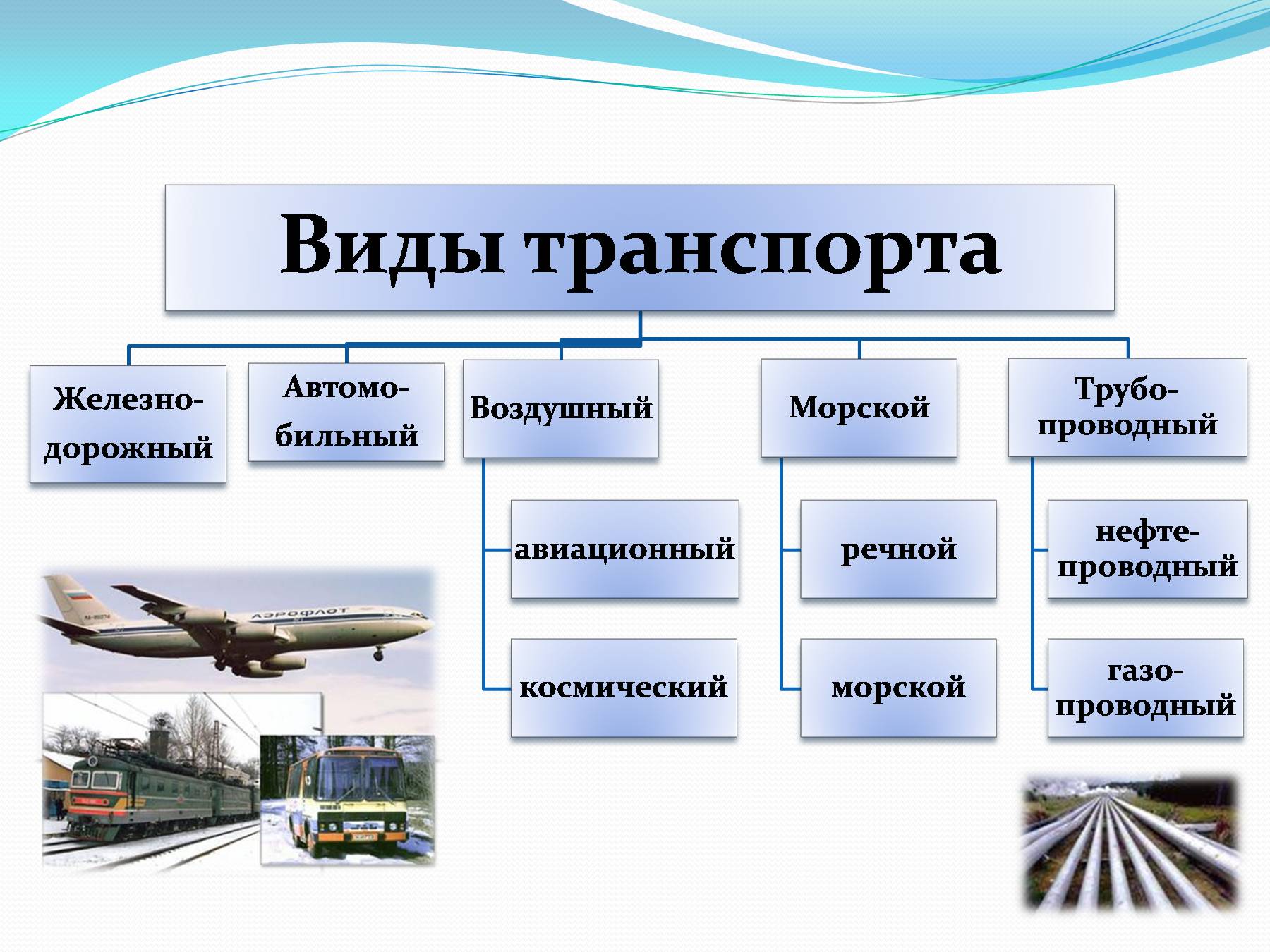 Роль транспортной сферы в экономике страны и ее характеристика