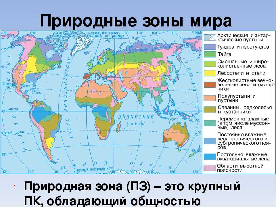 Природные зоны россии