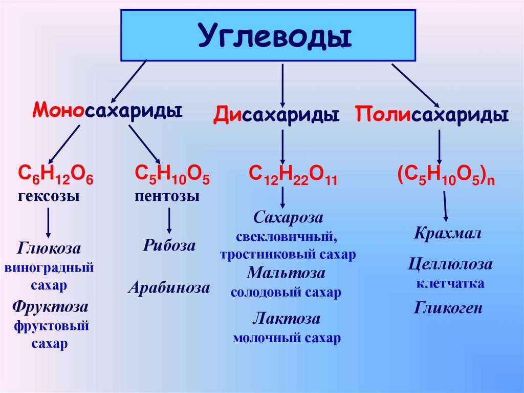 Углеводы | химия онлайн