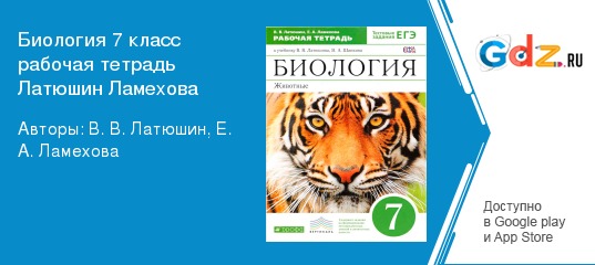 Понятие о системе органов человека: описание и характеристики
