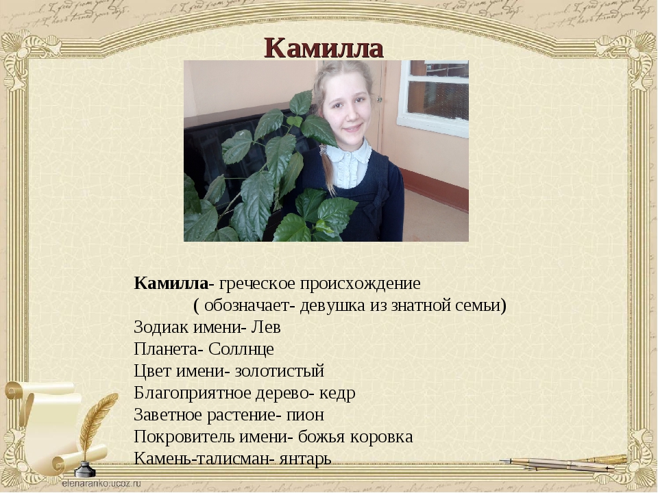 Значение имени камилла, происхождение, влияние на характер и судьбу девочки - nameorigin.ru