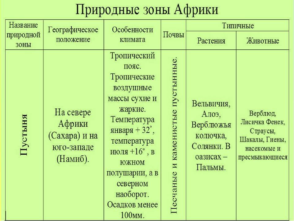 Какие бывают природные зоны