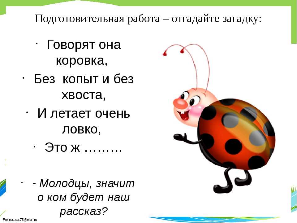 Как пишется жучок или жучёк?