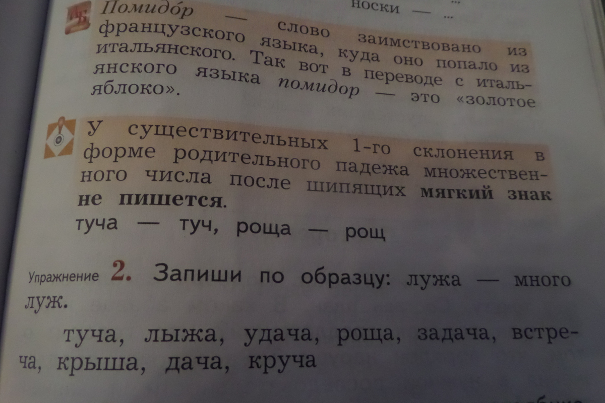 Как пишется слово рощ во множественном числе однокоренные слова - морфемный разбор слова как пишется слово рощ во множественном числе по составу: приставка, корень, суффикс, окончание