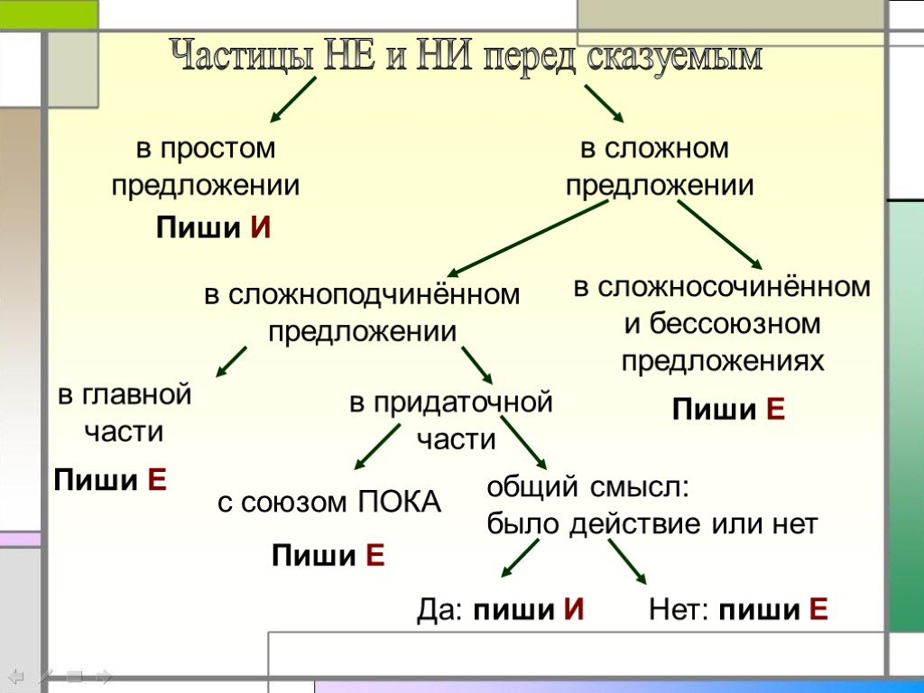 Не может не понимать как пишется - slovrus.ru - основы правописания русского языка