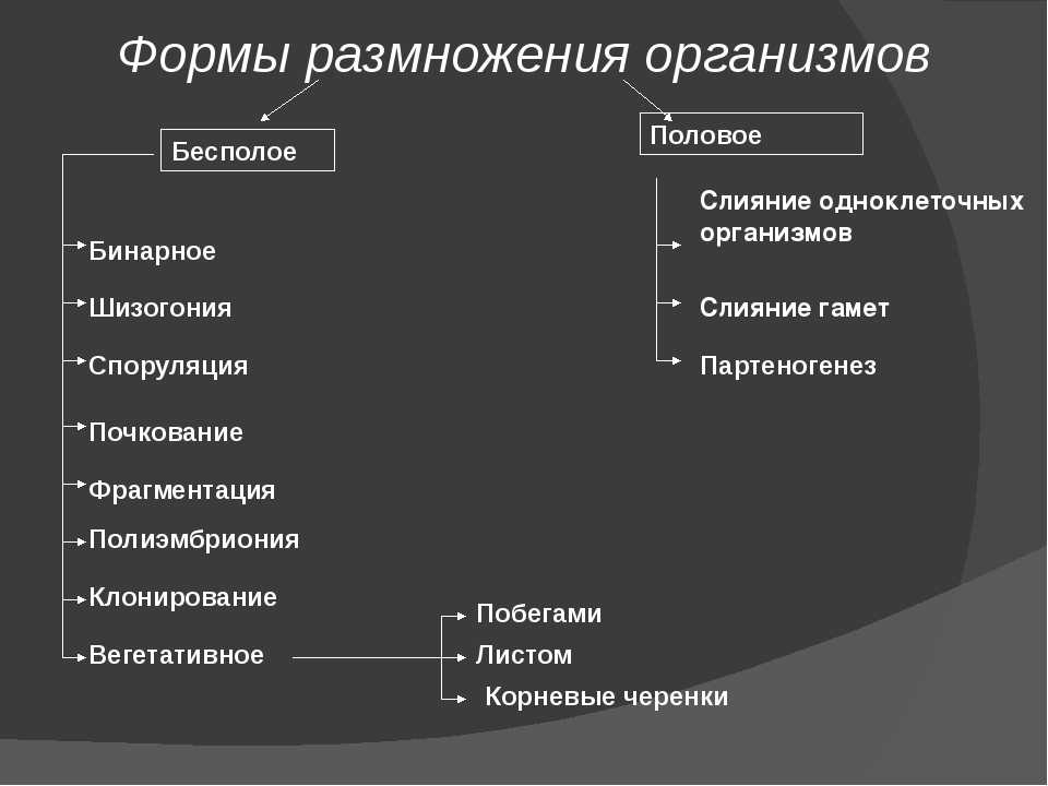Способы размножения, их биологическое значение