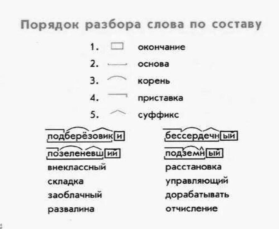 Прописная-строчная - древо