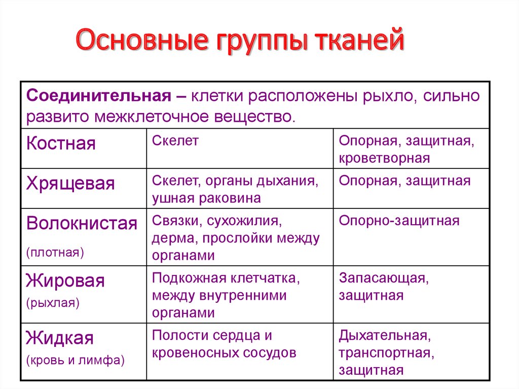 Ткани организма и их свойства