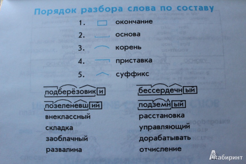 Как пишутся слова с приставкой медиа - slovrus.ru - основы правописания русского языка
