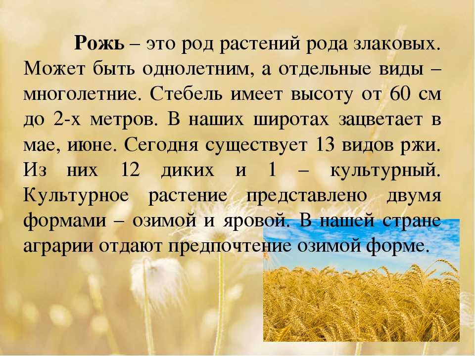 Еще не скошенная трава как пишется слитно или раздельно - граматика и образование на pisanino.ru
