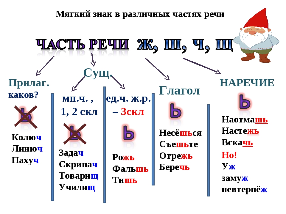 Синею или синюю как правильно пишется