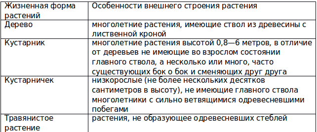 Общая характеристика высших растений