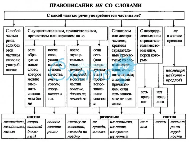 Правописание "не надо": почему раздельно, грамматика, употребление