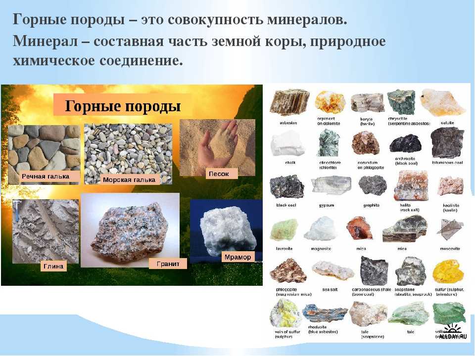Окружающий мир