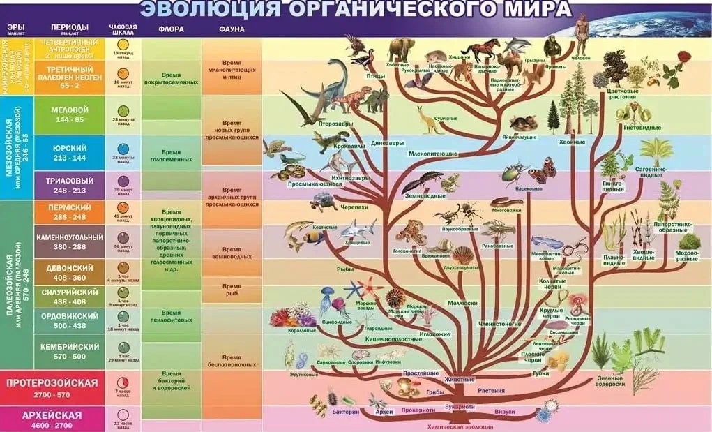 Эволюция вселенной — как появился и развивался наш мир