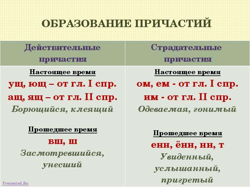 Глава 12. морфология. причастие / как устроен наш язык. большой справочник по теории для 5-11 классов / русский на 5