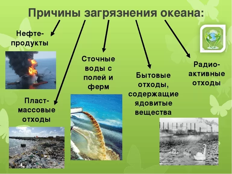 Экологические проблемы планеты: 6 самых серьезных