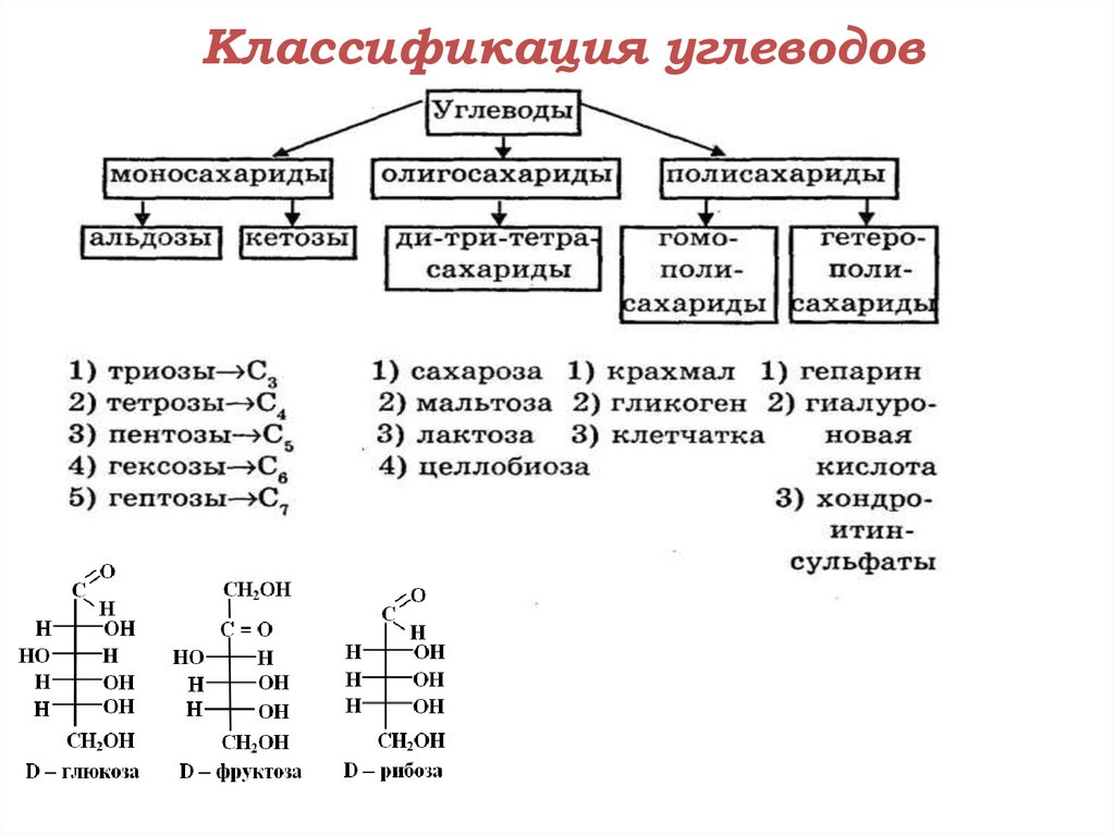 Репетитор по химии и биологии: конспекты. углеводы.