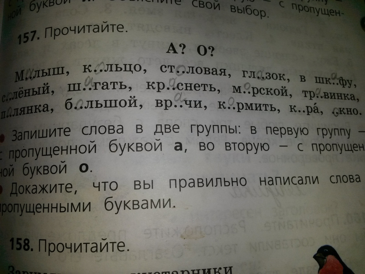 Кора проверочное слово - однокоренные слова к слову "кора"