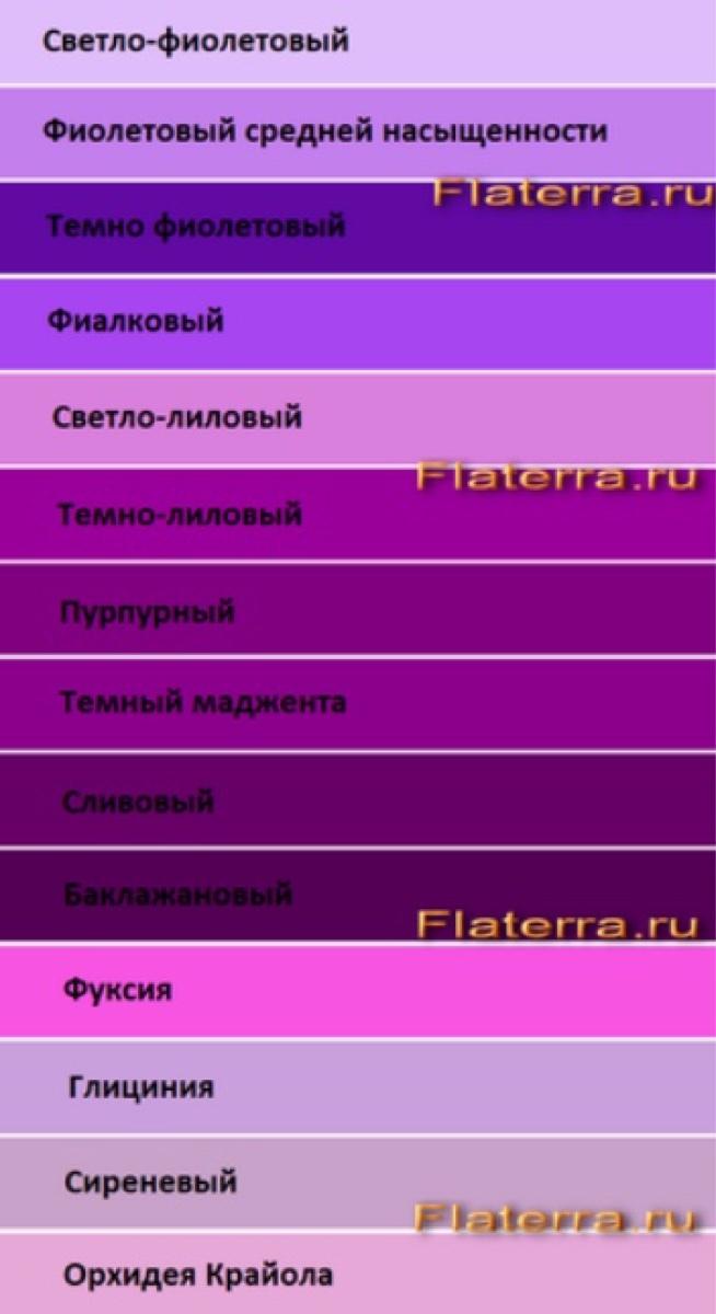 Бледно-лиловый или "бледнолиловый" - как правильно пишется, почему?