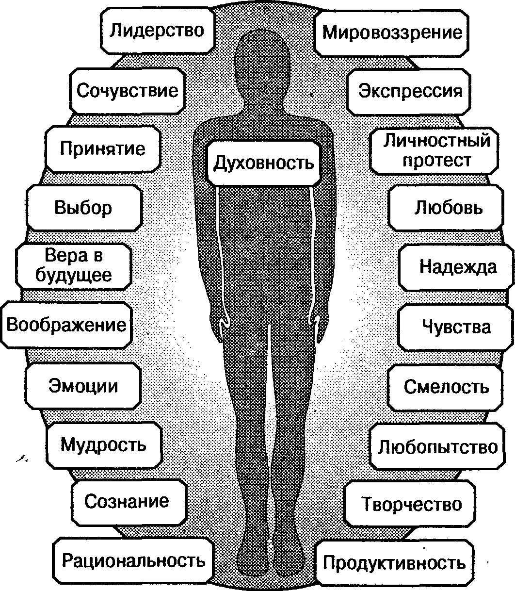 Рациональное использование природных ресурсов – охрана природы, принципы и примеры кратко (8 класс, география)